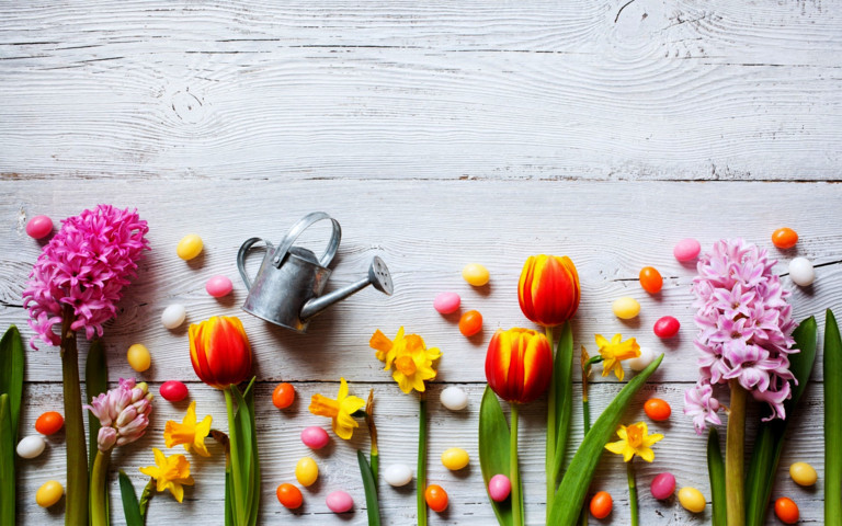 Consigli di giardinaggio per il mese di Aprile