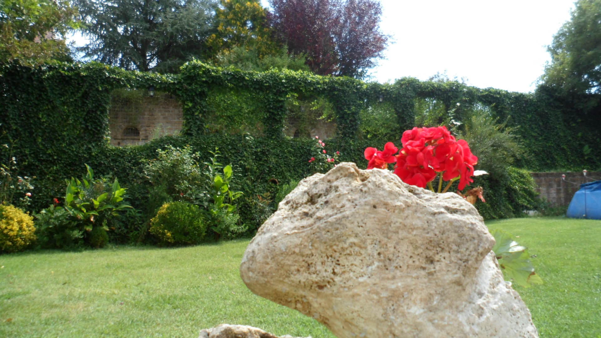 Giardino e terrazzo di Ottobre