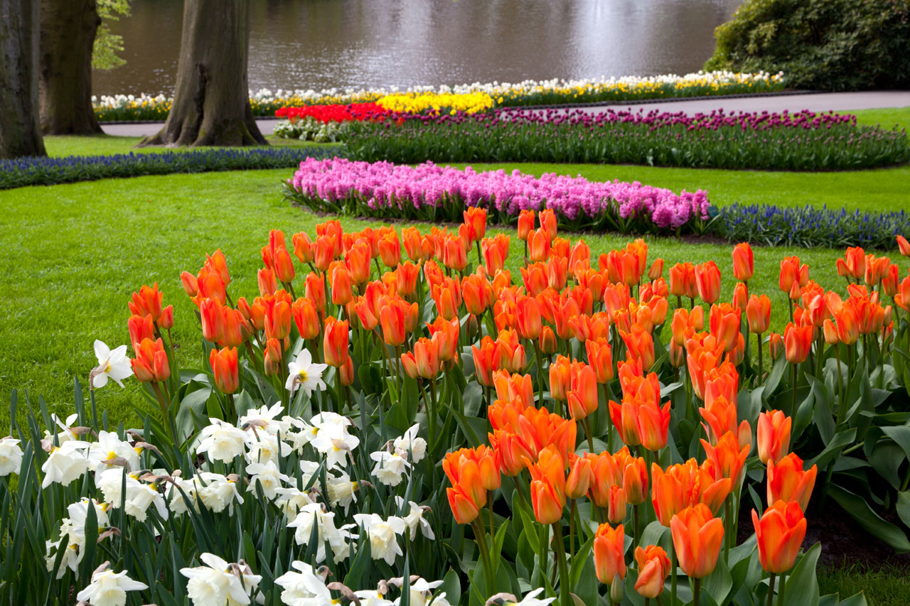 I colori del giardino Maggio