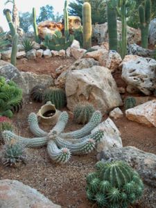 Laghetto e giardino roccioso di Novembre