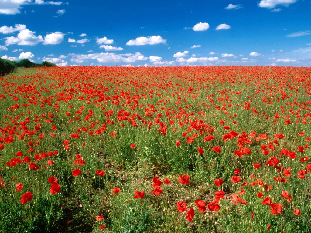 Agenda di Luglio e Agosto