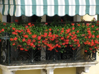 Giardino e terrazzo di Luglio e Agosto