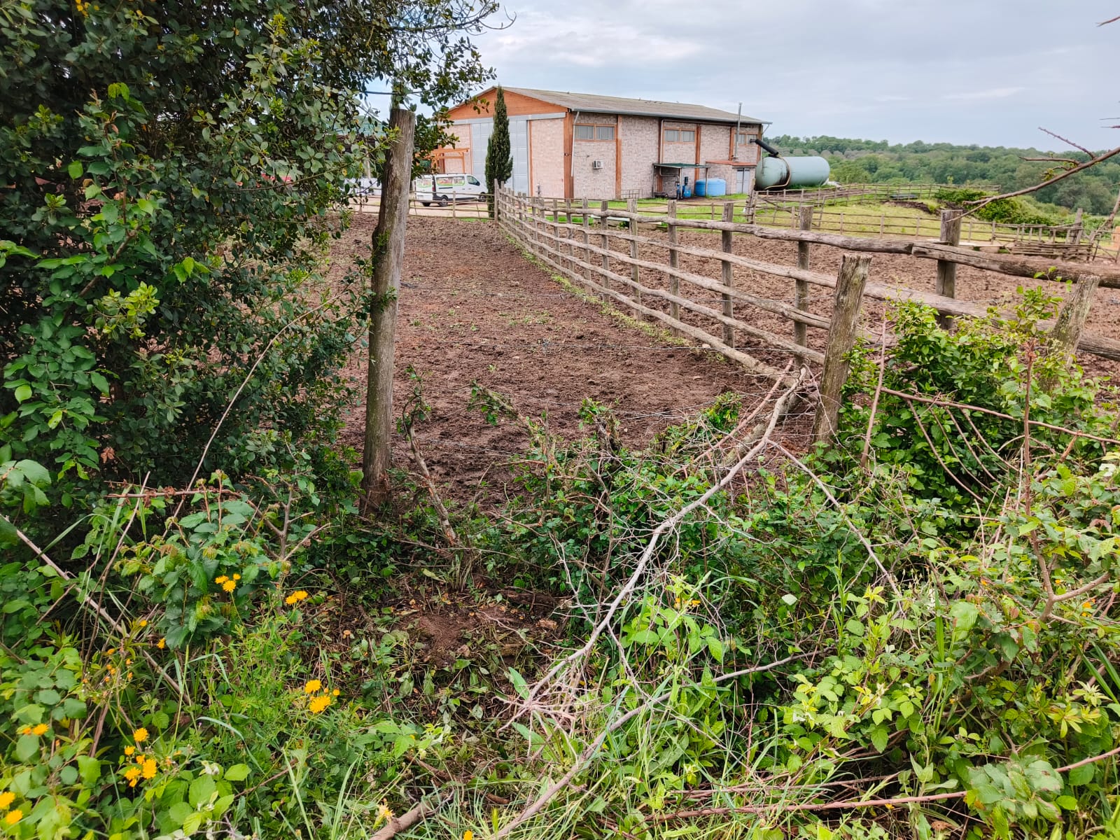 Danni alla recinzione dell'Università Agraria di Blera. Denuncia contro ignoti - Uncategorized