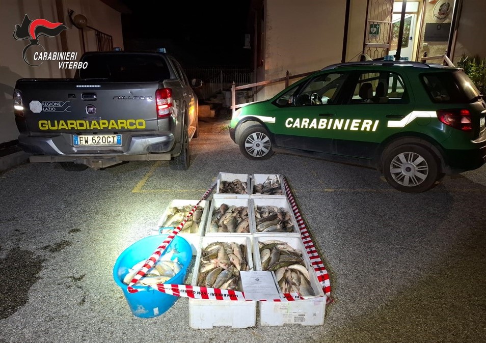 Caprarola: sorpresi e segnalati pescatori di frodo - Uncategorized