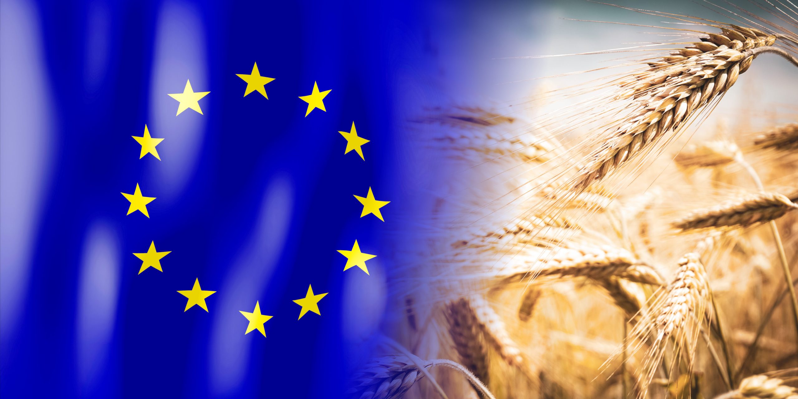 Verso la nuova PAC: tra semplificazioni e taglio dei contributi comunitari - Uncategorized