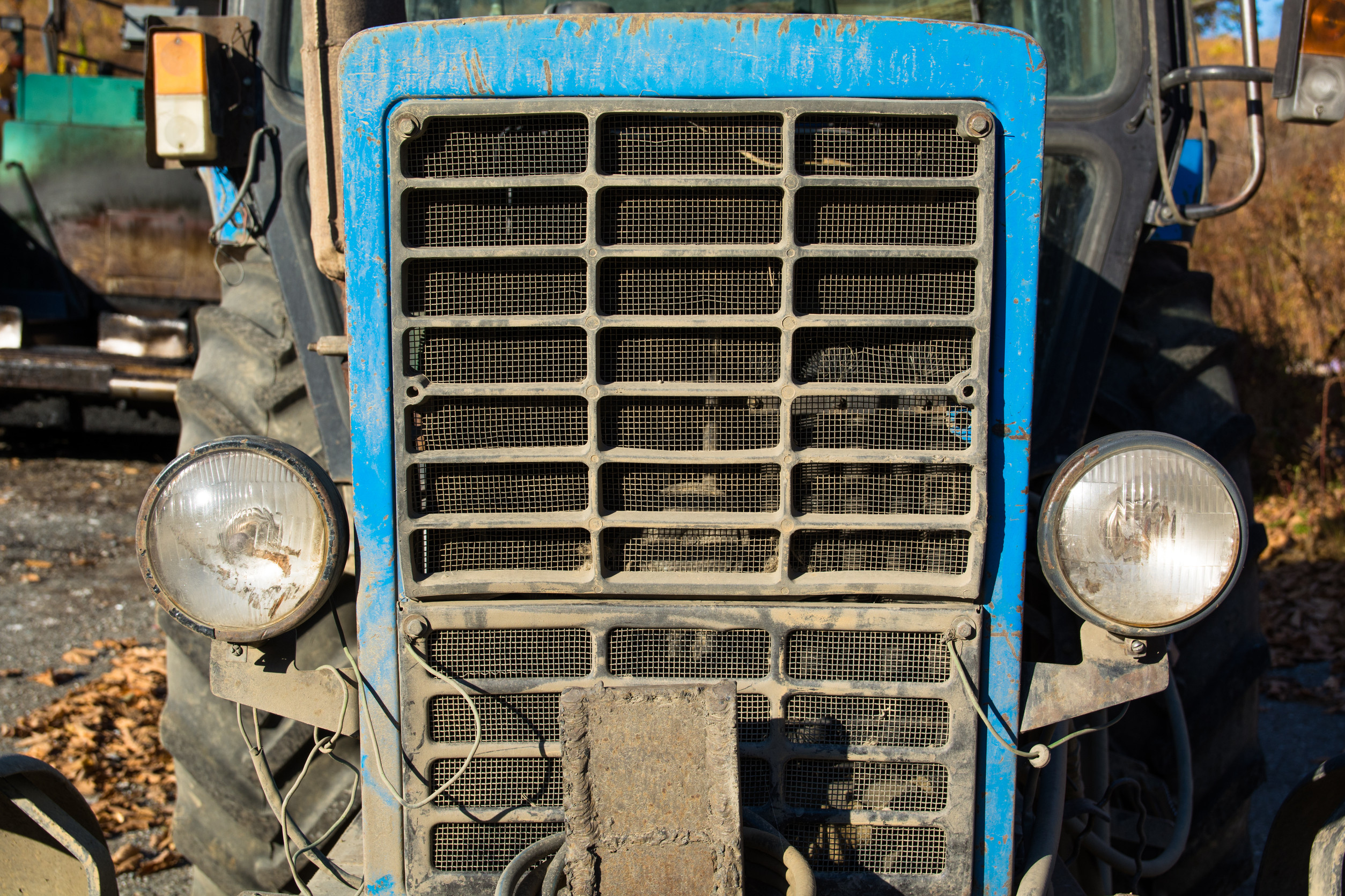 Che fine hanno fatto le domande per ammodernamento delle aziende agricole del Lazio? - Uncategorized