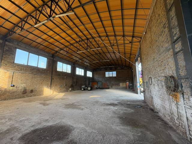 Ronciglione guarda avanti: la Pro Loco investe nel futuro del Carnevale e si rafforza come associazione - Uncategorized