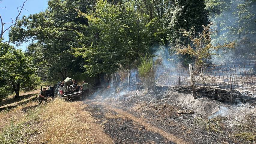 Un principio di incendio minaccia la zona di Monte Venere - Uncategorized