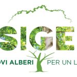 Acquapendente, nasce la microforesta ecopedagogica: 300 piantine nel giardino di Via del Carmine