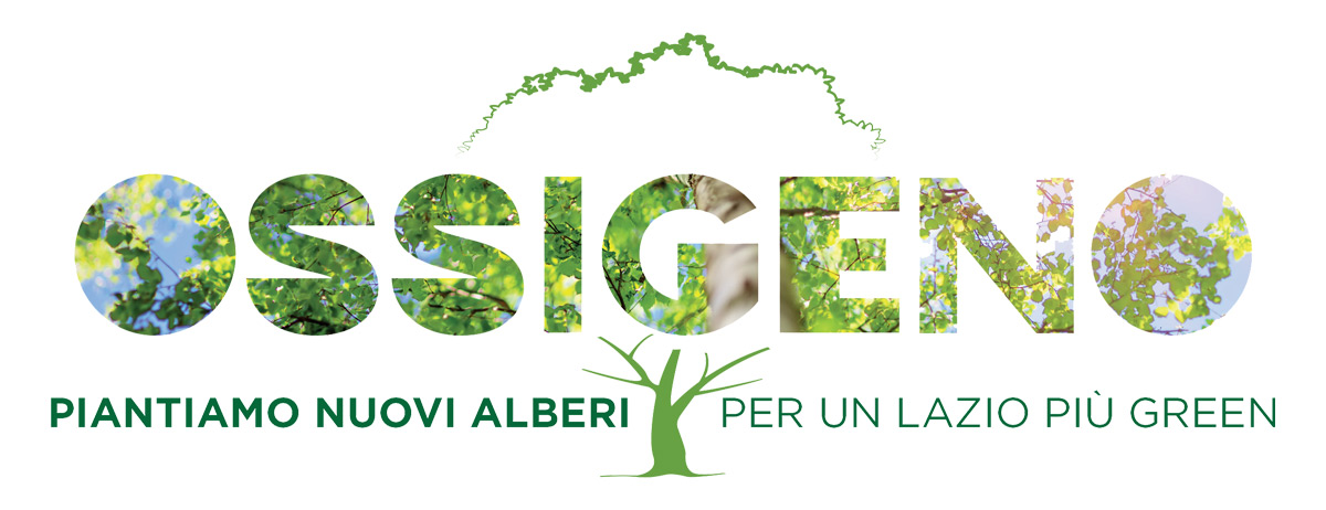 Acquapendente, nasce la microforesta ecopedagogica: 300 piantine nel giardino di Via del Carmine